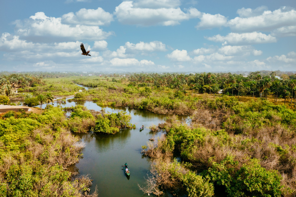 Menar Bird Village wetlands near Udaipur